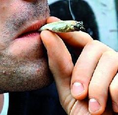 Los chilenos entre los más favorables a legalizar la marihuana y los bolivianos los más opuestos